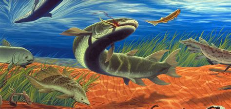 devonian fish|Devonian Period—419.2 to 358.9 MYA .